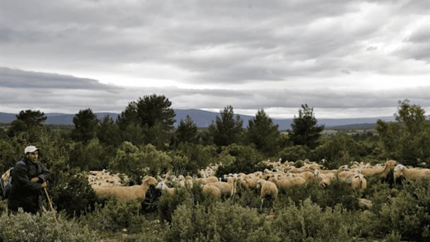 Calendario Ambiental